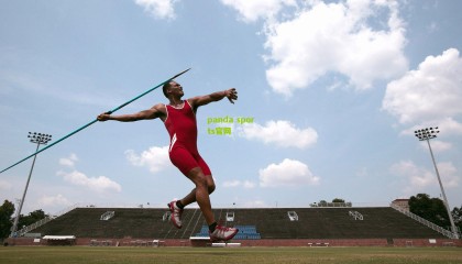 蛰伏八载终破茧，迈克·布朗的王者归来与篮球哲学的胜利