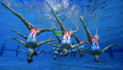 赛场更换时间调整引关注 赛事运营方详解区域赛第一阶段安排