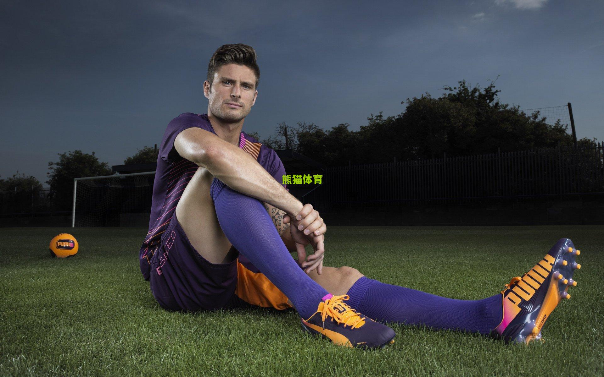 全明星选人结果揭晓，老将霍福德压轴入选引发热议，团队策略与情怀博弈成焦点